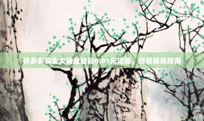 拼多多现金大转盘最后0.01元攻略，终极破局指南-第1张图片-拼多多助力