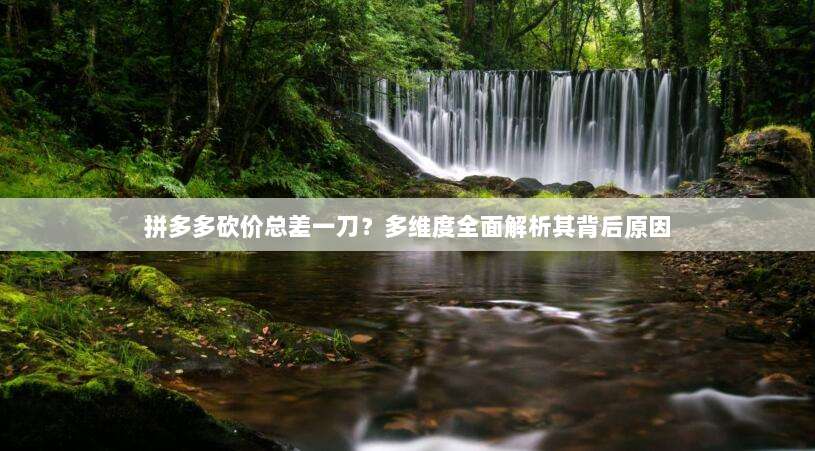 拼多多砍价总差一刀?多维度全面解析其背后原因-第1张图片-拼多多助力 拼多多砍价总差一刀?多维度全面解析其背后原因-第1张图片-拼多多助力