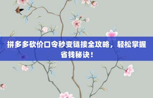 拼多多砍价口令秒变链接全攻略,轻松掌握省钱秘诀!-第1张图片-拼多多助力 拼多多砍价口令秒变链接全攻略,轻松掌握省钱秘诀!-第1张图片-拼多多助力