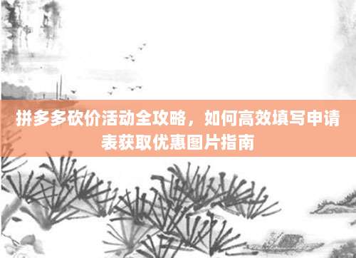 拼多多砍价活动全攻略，如何高效填写申请表获取优惠图片指南-第1张图片-拼多多助力