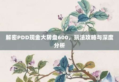 解密PDD现金大转盘600,玩法攻略与深度分析-第1张图片-拼多多助力 解密PDD现金大转盘600,玩法攻略与深度分析-第1张图片-拼多多助力