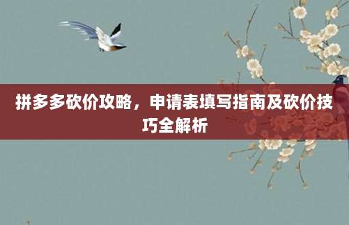 拼多多砍价攻略，申请表填写指南及砍价技巧全解析-第1张图片-拼多多助力