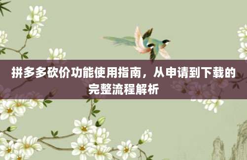 拼多多砍价功能使用指南，从申请到下载的完整流程解析-第1张图片-拼多多助力