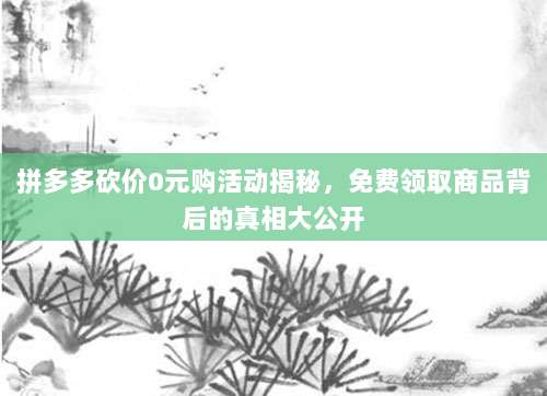 拼多多砍价0元购活动揭秘，免费领取商品背后的真相大公开-第1张图片-拼多多助力