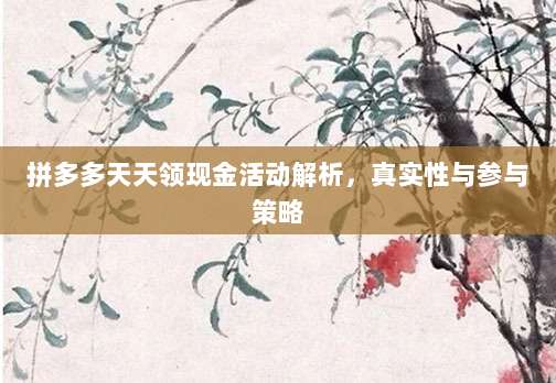 拼多多天天领现金活动解析，真实性与参与策略-第1张图片-拼多多助力