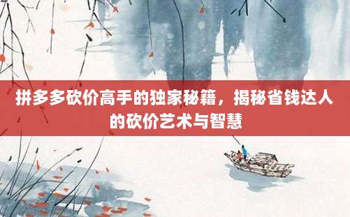 拼多多砍价高手的独家秘籍，揭秘省钱达人的砍价艺术与智慧-第1张图片-拼多多助力