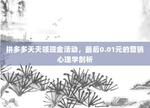 拼多多天天领现金活动,最后0.01元的营销心理学剖析-第1张图片-拼多多助力 拼多多天天领现金活动,最后0.01元的营销心理学剖析-第1张图片-拼多多助力