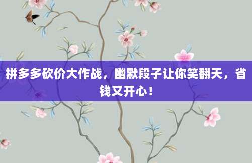 拼多多砍价大作战,幽默段子让你笑翻天,省钱又开心!-第1张图片-拼多多助力 拼多多砍价大作战,幽默段子让你笑翻天,省钱又开心!-第1张图片-拼多多助力
