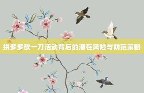 拼多多砍一刀活动背后的潜在风险与防范策略-第1张图片-拼多多助力 拼多多砍一刀活动背后的潜在风险与防范策略-第1张图片-拼多多助力