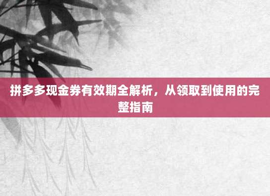 拼多多现金券有效期全解析,从领取到使用的完整指南-第1张图片-拼多多助力 拼多多现金券有效期全解析,从领取到使用的完整指南-第1张图片-拼多多助力