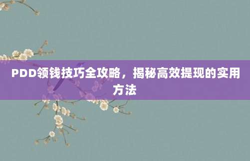 PDD领钱技巧全攻略,揭秘高效提现的实用方法-第1张图片-拼多多助力 PDD领钱技巧全攻略,揭秘高效提现的实用方法-第1张图片-拼多多助力