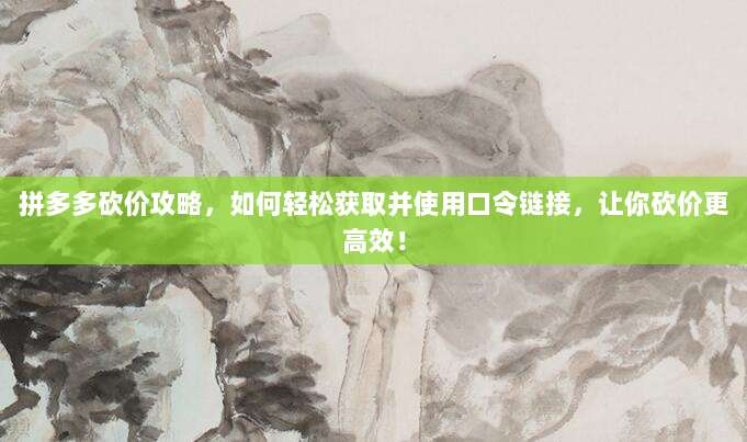 拼多多砍价攻略，如何轻松获取并使用口令链接，让你砍价更高效！-第1张图片-拼多多助力