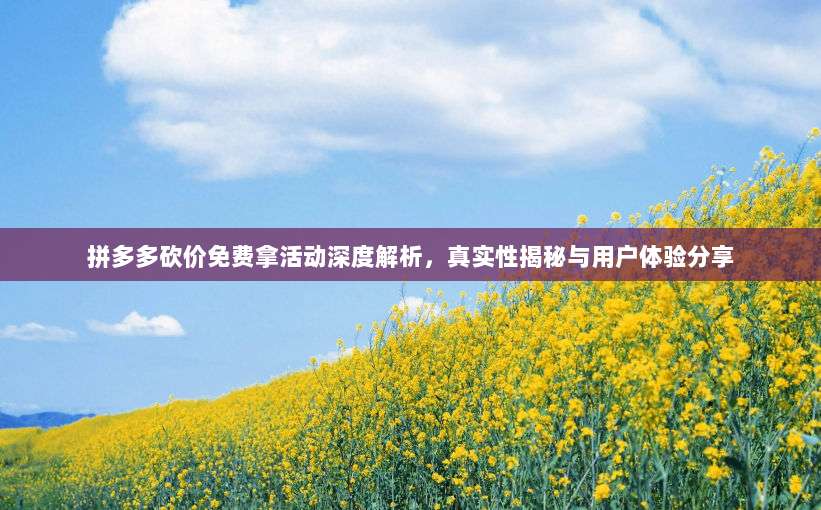 拼多多砍价免费拿活动深度解析,真实性揭秘与用户体验分享-第1张图片-拼多多助力 拼多多砍价免费拿活动深度解析,真实性揭秘与用户体验分享-第1张图片-拼多多助力