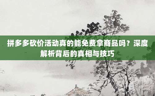 拼多多砍价活动真的能免费拿商品吗?深度解析背后的真相与技巧-第1张图片-拼多多助力 拼多多砍价活动真的能免费拿商品吗?深度解析背后的真相与技巧-第1张图片-拼多多助力