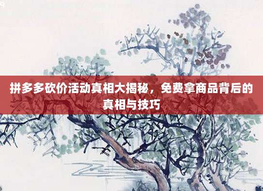 拼多多砍价活动真相大揭秘,免费拿商品背后的真相与技巧-第1张图片-拼多多助力 拼多多砍价活动真相大揭秘,免费拿商品背后的真相与技巧-第1张图片-拼多多助力