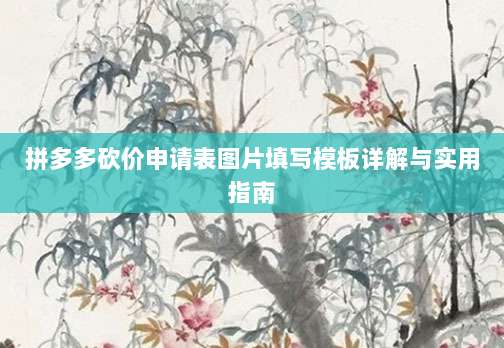 拼多多砍价申请表图片填写模板详解与实用指南-第1张图片-拼多多助力 拼多多砍价申请表图片填写模板详解与实用指南-第1张图片-拼多多助力