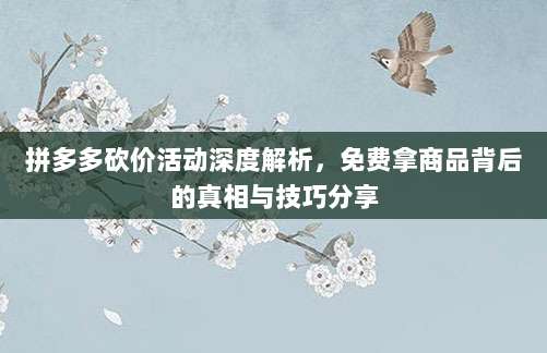 拼多多砍价活动深度解析，免费拿商品背后的真相与技巧分享-第1张图片-拼多多助力