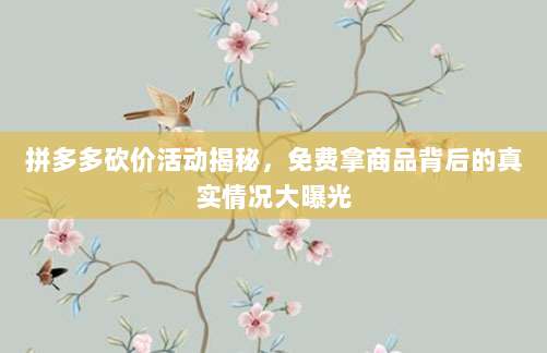 拼多多砍价活动揭秘，免费拿商品背后的真实情况大曝光-第1张图片-拼多多助力