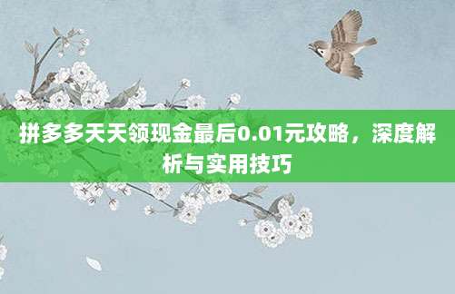 拼多多天天领现金最后0.01元攻略,深度解析与实用技巧-第1张图片-拼多多助力 拼多多天天领现金最后0.01元攻略,深度解析与实用技巧-第1张图片-拼多多助力