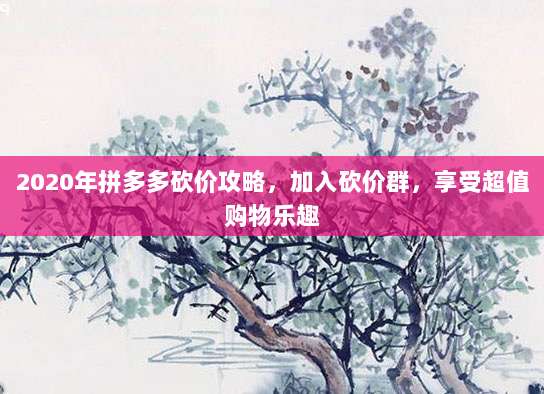 2020年拼多多砍价攻略，加入砍价群，享受超值购物乐趣-第1张图片-拼多多助力