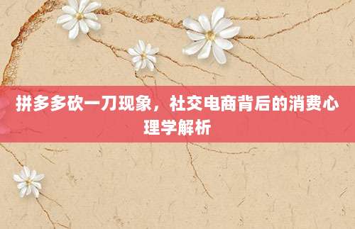 拼多多砍一刀现象，社交电商背后的消费心理学解析-第1张图片-拼多多助力