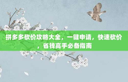 拼多多砍价攻略大全,一键申请,快速砍价,省钱高手必备指南-第1张图片-拼多多助力 拼多多砍价攻略大全,一键申请,快速砍价,省钱高手必备指南-第1张图片-拼多多助力