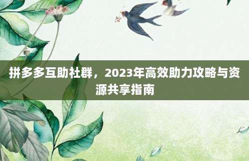 拼多多互助社群，2023年高效助力攻略与资源共享指南-第1张图片-拼多多助力