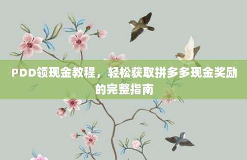 PDD领现金教程，轻松获取拼多多现金奖励的完整指南-第1张图片-拼多多助力