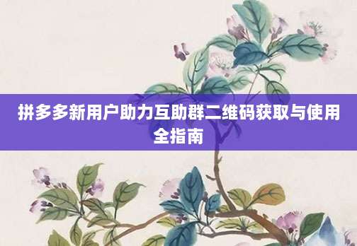拼多多新用户助力互助群二维码获取与使用全指南-第1张图片-拼多多助力
