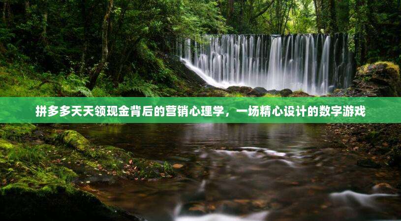 拼多多天天领现金背后的营销心理学,一场精心设计的数字游戏-第1张图片-拼多多助力 拼多多天天领现金背后的营销心理学,一场精心设计的数字游戏-第1张图片-拼多多助力
