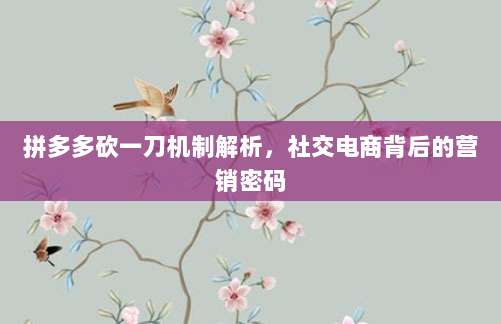 拼多多砍一刀机制解析,社交电商背后的营销密码-第1张图片-拼多多助力 拼多多砍一刀机制解析,社交电商背后的营销密码-第1张图片-拼多多助力