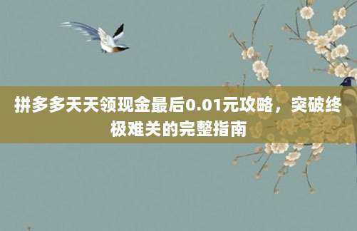 拼多多天天领现金最后0.01元攻略,突破终极难关的完整指南-第1张图片-拼多多助力 拼多多天天领现金最后0.01元攻略,突破终极难关的完整指南-第1张图片-拼多多助力