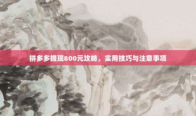 拼多多提现800元攻略,实用技巧与注意事项-第1张图片-拼多多助力 拼多多提现800元攻略,实用技巧与注意事项-第1张图片-拼多多助力