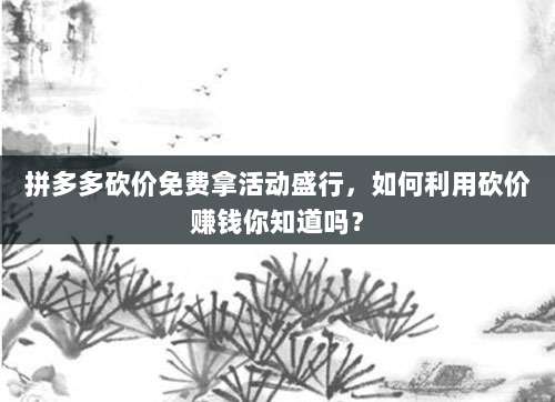 拼多多砍价免费拿活动盛行,如何利用砍价赚钱你知道吗?-第1张图片-拼多多助力 拼多多砍价免费拿活动盛行,如何利用砍价赚钱你知道吗?-第1张图片-拼多多助力