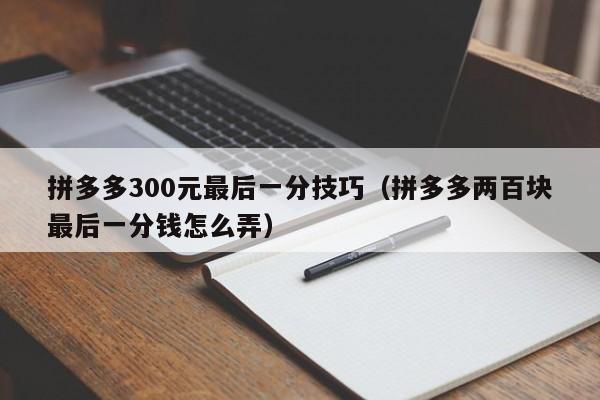 拼多多300元最后一分技巧（拼多多两百块最后一分钱怎么弄）-第1张图片-拼多多助力
