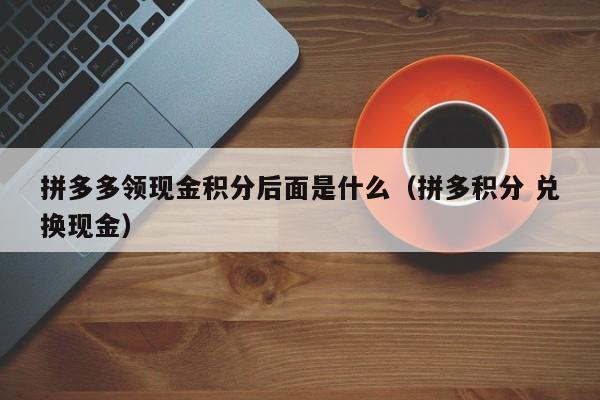 拼多多领现金积分后面是什么（拼多积分 兑换现金）-第1张图片-拼多多助力