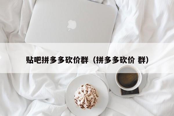 贴吧拼多多砍价群（拼多多砍价 群）-第1张图片-拼多多助力