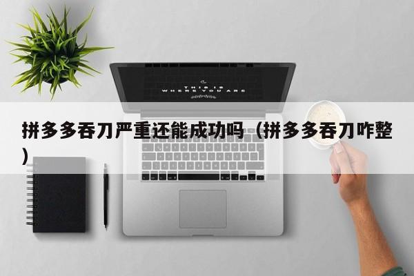 拼多多吞刀严重还能成功吗（拼多多吞刀咋整）-第1张图片-拼多多助力