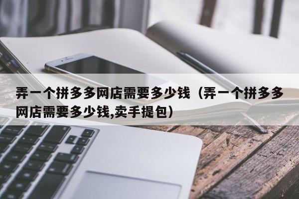 弄一个拼多多网店需要多少钱（弄一个拼多多网店需要多少钱,卖手提包）-第1张图片-拼多多助力