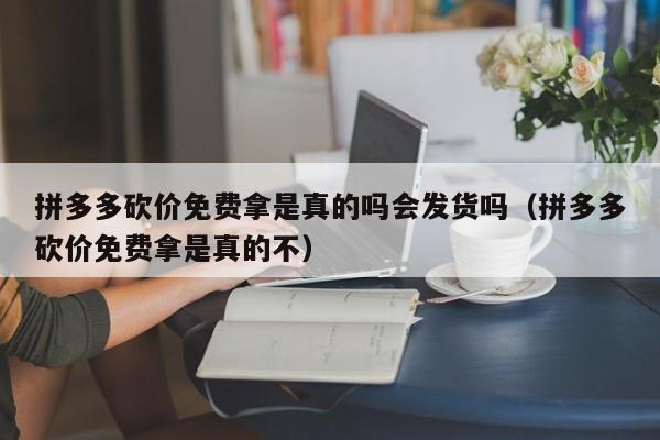拼多多砍价免费拿是真的吗会发货吗（拼多多砍价免费拿是真的不）-第1张图片-拼多多助力