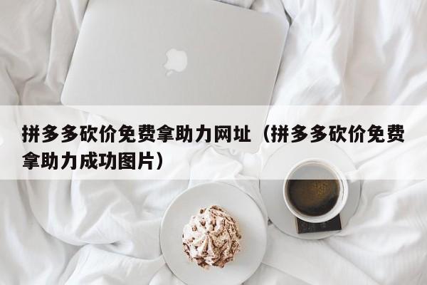拼多多砍价免费拿助力网址（拼多多砍价免费拿助力成功图片）-第1张图片-拼多多助力