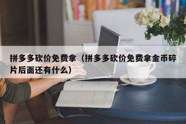 拼多多砍价免费拿（拼多多砍价免费拿金币碎片后面还有什么）-第1张图片-拼多多助力