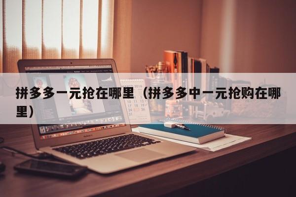 拼多多一元抢在哪里（拼多多中一元抢购在哪里）-第1张图片-拼多多助力