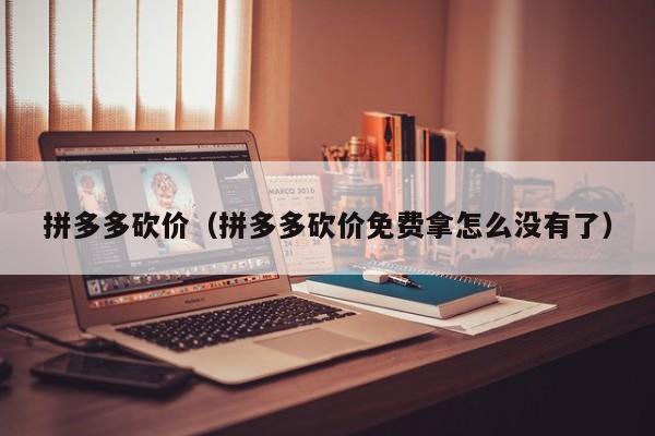 拼多多砍价（拼多多砍价免费拿怎么没有了）-第1张图片-拼多多助力