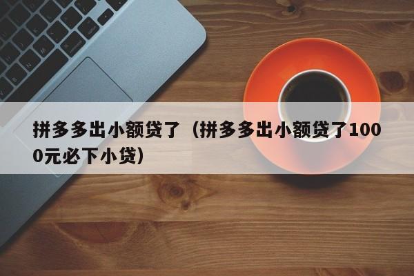 拼多多出小额贷了（拼多多出小额贷了1000元必下小贷）-第1张图片-拼多多助力