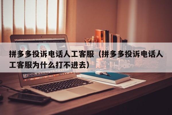 拼多多投诉电话人工客服（拼多多投诉电话人工客服为什么打不进去）-第1张图片-拼多多助力