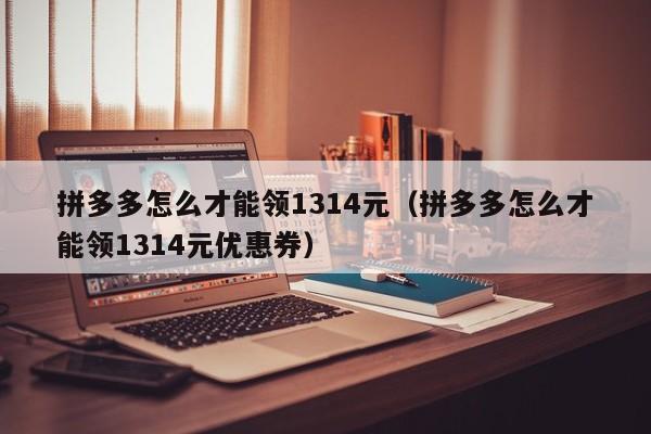 拼多多怎么才能领1314元（拼多多怎么才能领1314元优惠券）-第1张图片-拼多多助力