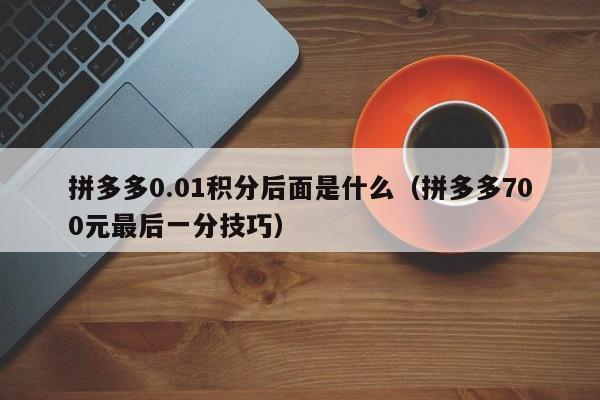 拼多多0.01积分后面是什么（拼多多700元最后一分技巧）-第1张图片-拼多多助力