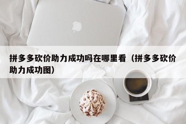 拼多多砍价助力成功吗在哪里看（拼多多砍价助力成功图）-第1张图片-拼多多助力
