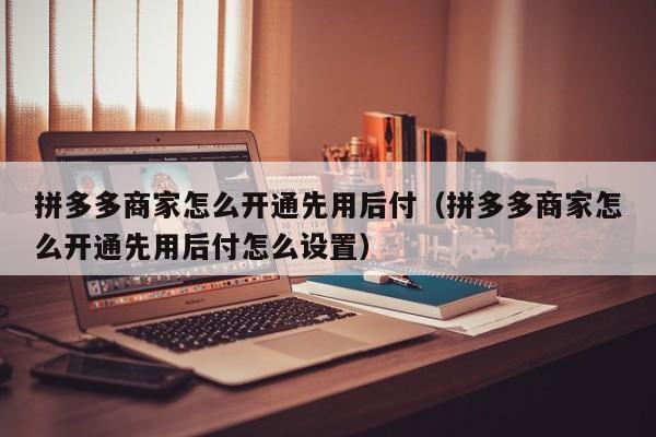 拼多多商家怎么开通先用后付（拼多多商家怎么开通先用后付怎么设置）-第1张图片-拼多多助力